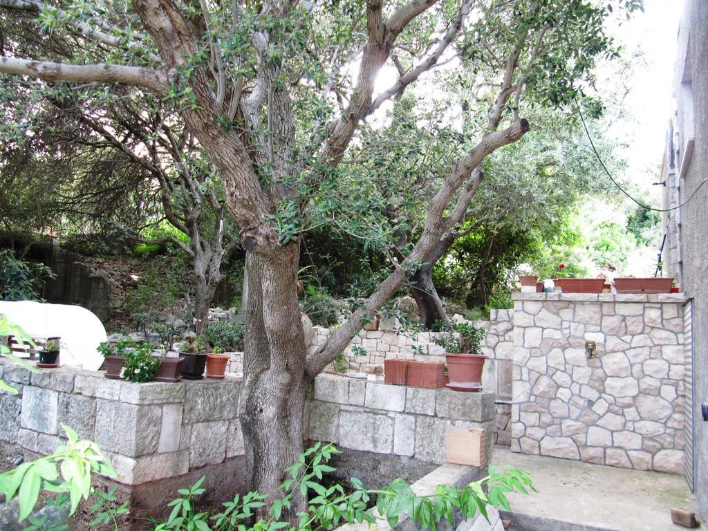 Apartmans And Rooms Dunjini Dvori Korcula Town Bagian luar foto